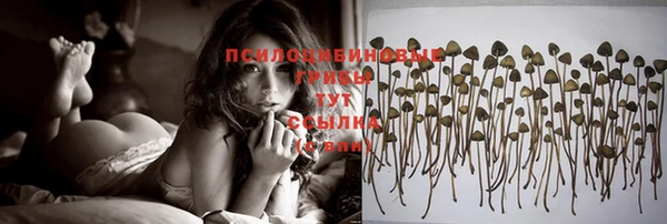 твердый Богданович