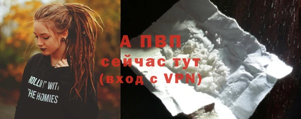 стаф Богородицк