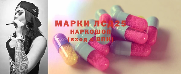 стаф Богородицк