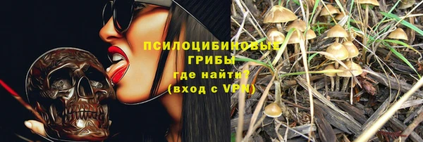 твердый Богданович
