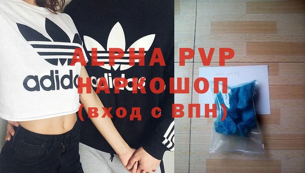 твердый Богданович