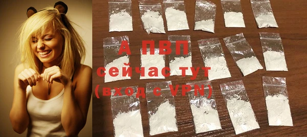 твердый Богданович