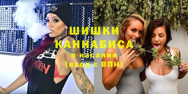 твердый Богданович