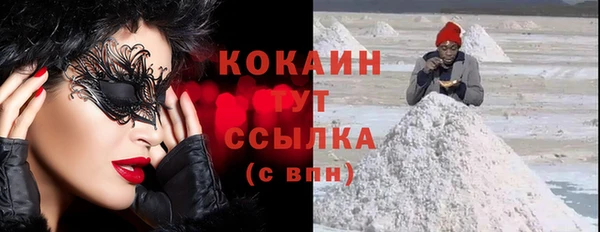 стаф Богородицк